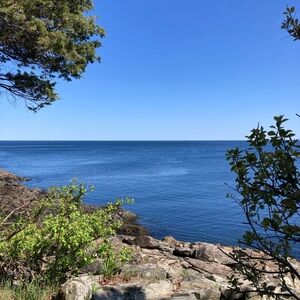 Meet your Posher, Angel Wings